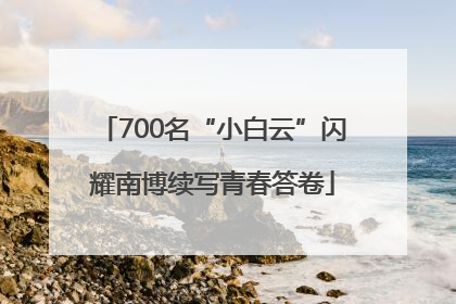 700名“小白云”闪耀南博续写青春答卷