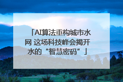 AI算法重构城市水网 这场科技峰会揭开水的“智慧密码”
