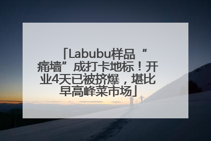 Labubu样品“痛墙”成打卡地标！开业4天已被挤爆，堪比早高峰菜市场